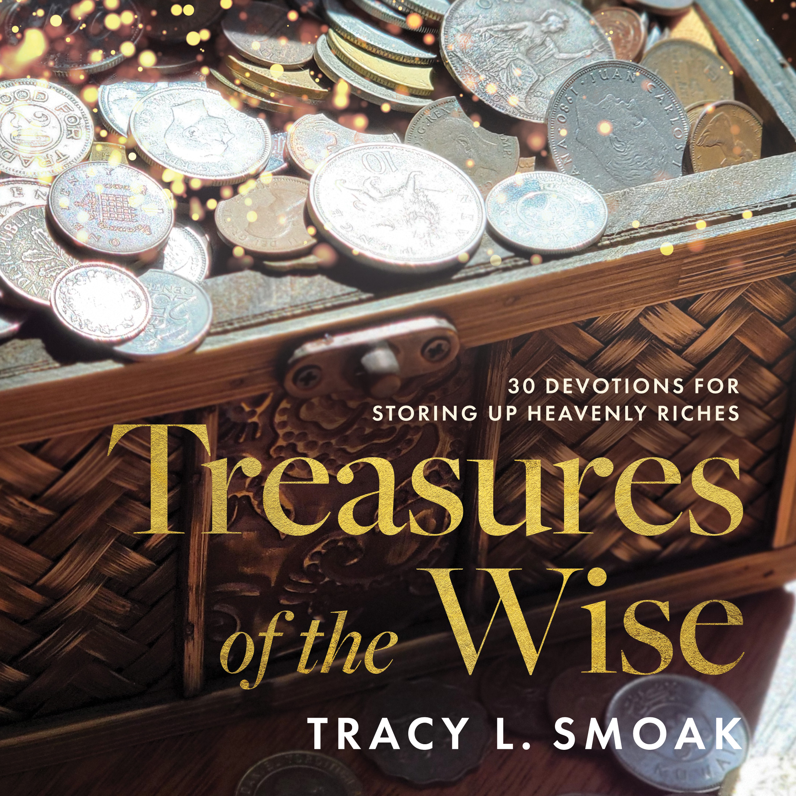 Treasures of the Wise: 30 Devotions for Storing Up Heavenly Riches