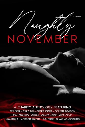 Naughty November book cover