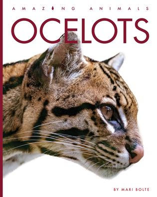 Amazing Animals book cover 3