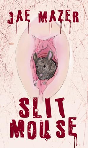 Slit Mouse book cover