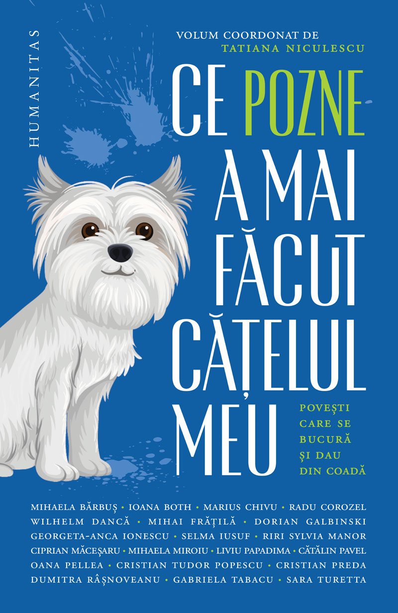 Ce pozne-a mai făcut cățelul meu