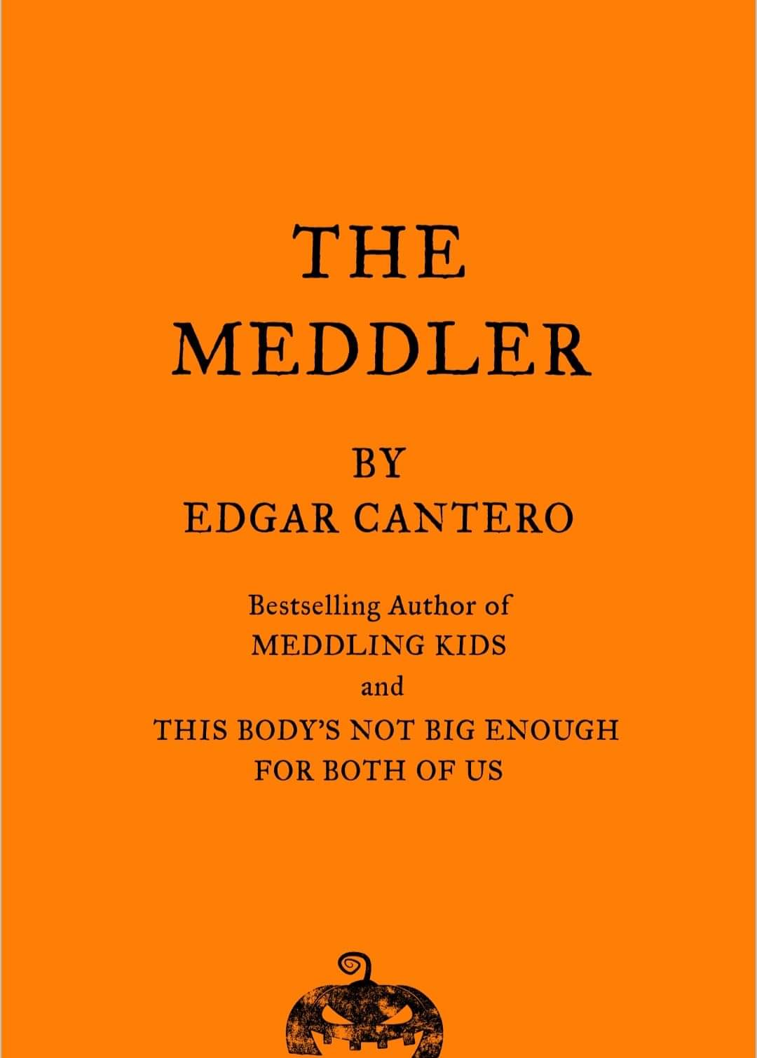 The Meddler book cover