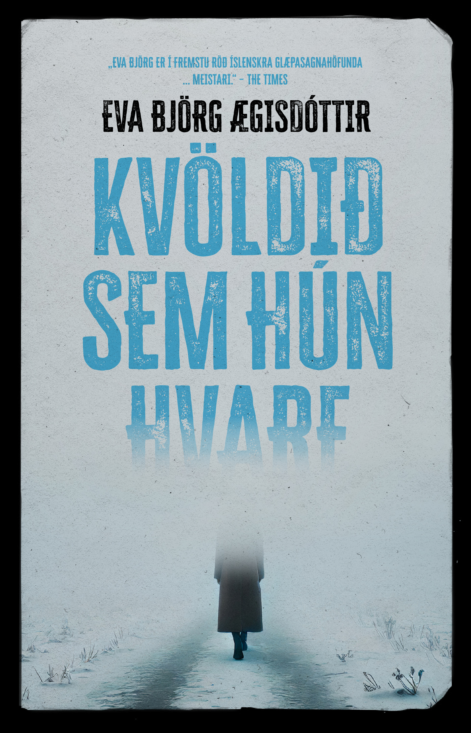 Kvöldið sem hún hvarf
