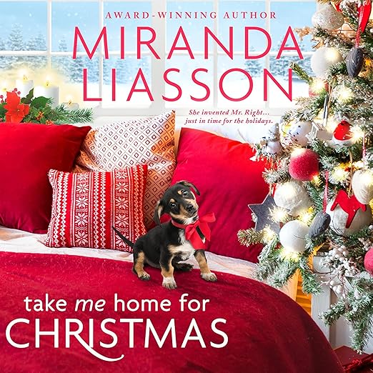 Take Me Home for Christmas (The Amazing Doctors of Oak Bluff, #1)