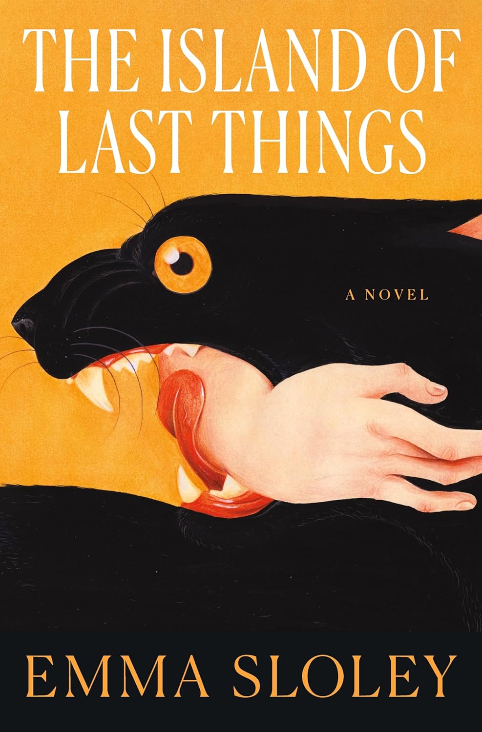 The Island of Last Things: A Novel