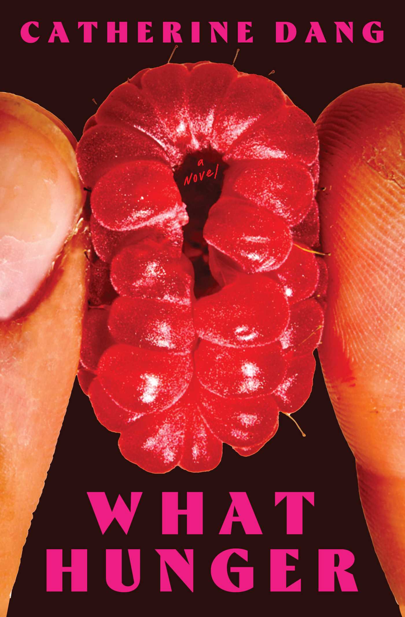 What Hunger book cover