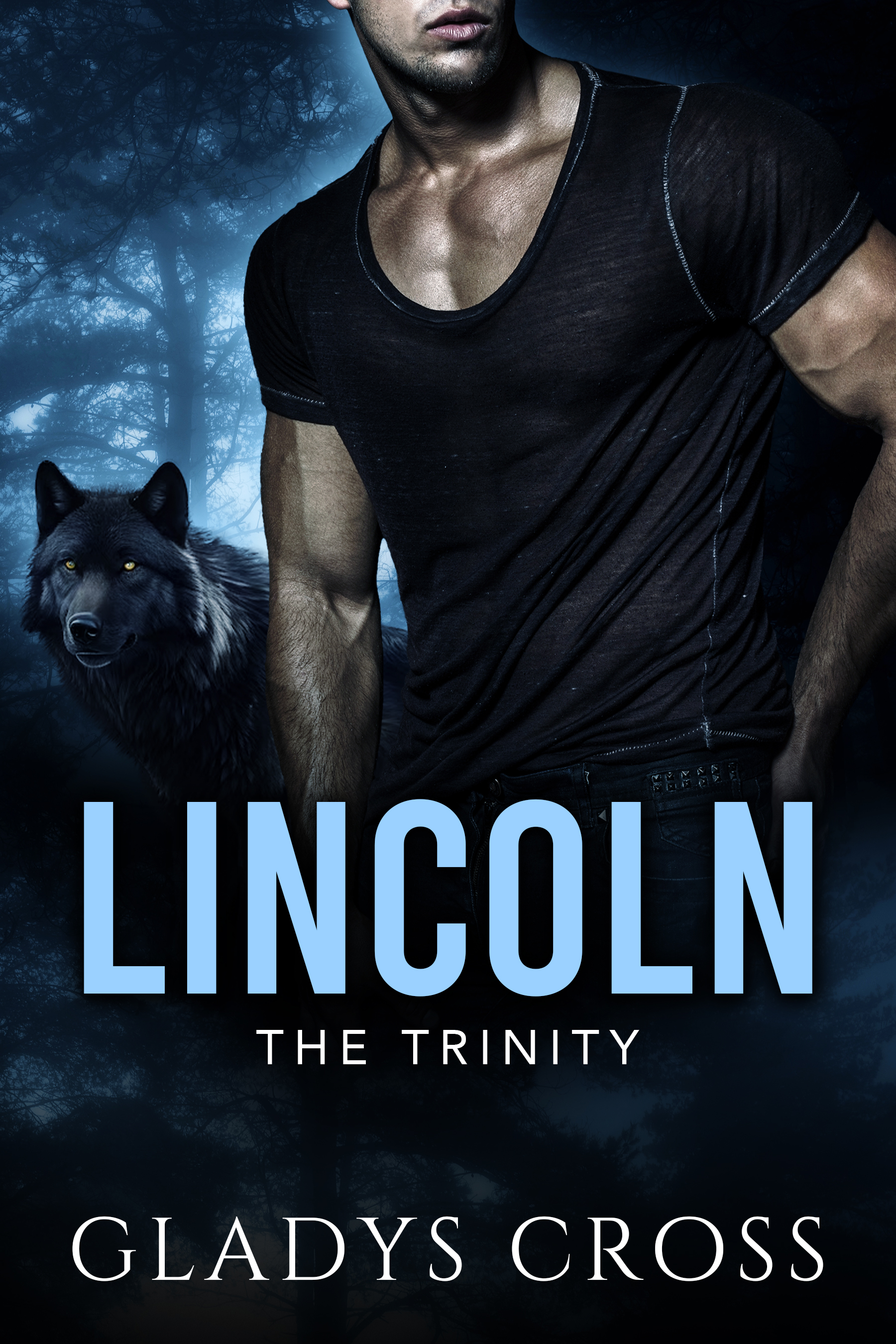 Lincoln: Steamy Hybrid Shifter Romance