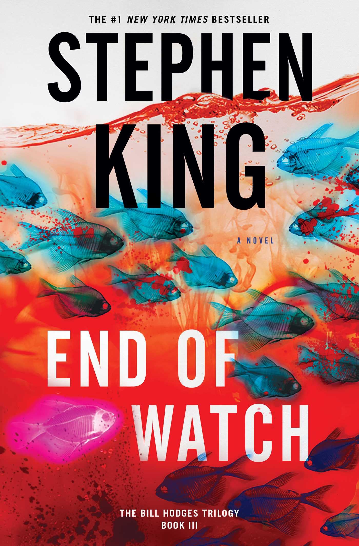 End of Watch (Bill Hodges Trilogy, #3)