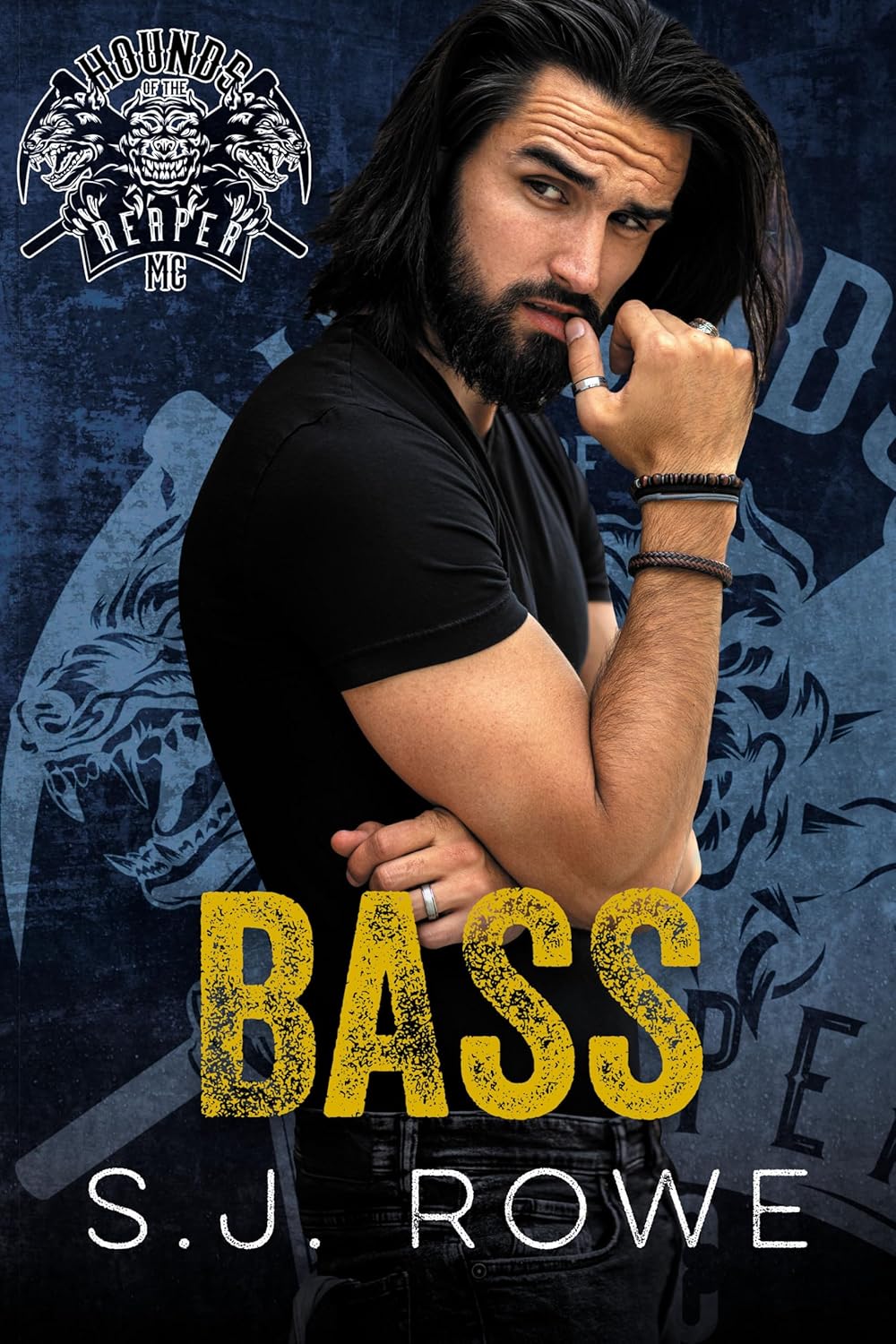 Bass book cover