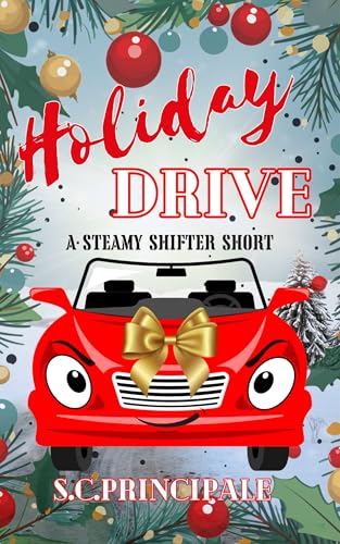 Holiday Drive book cover