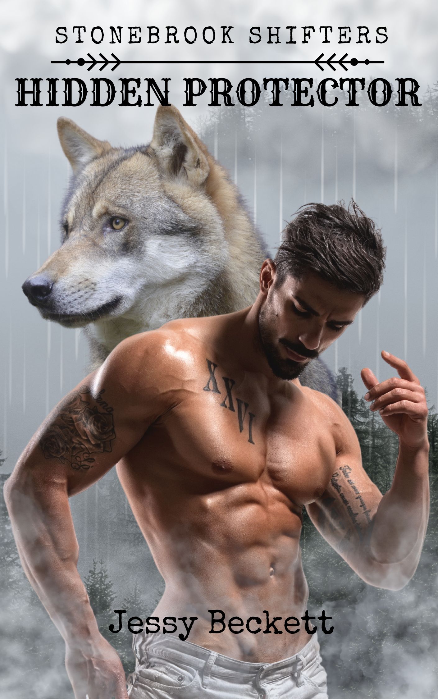 Stonebrook Shifters Hidden Protector