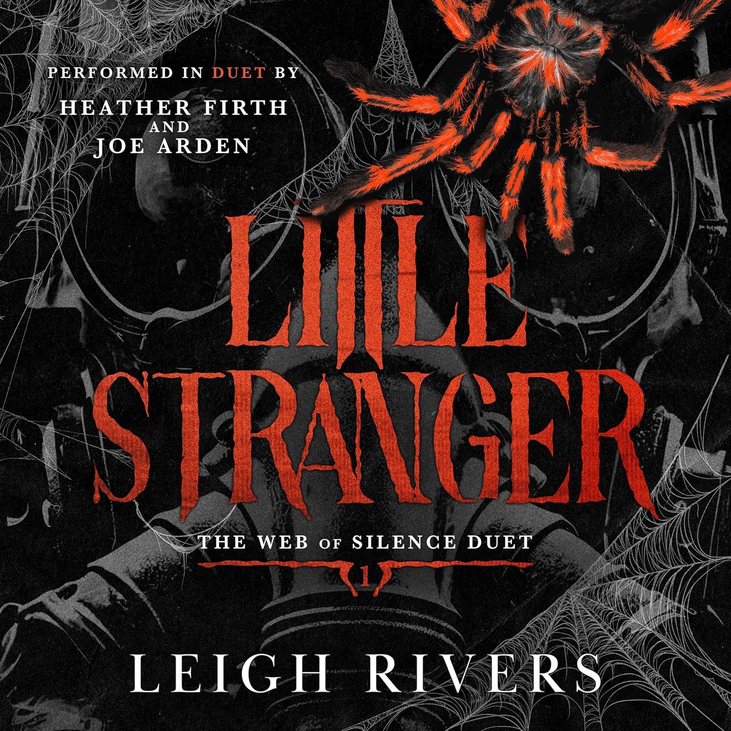 Little Stranger (The Web of Silence Duet, #1)