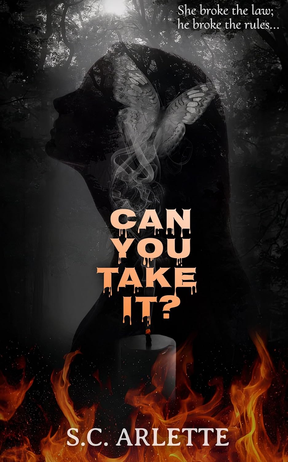 Can You Take It? book cover
