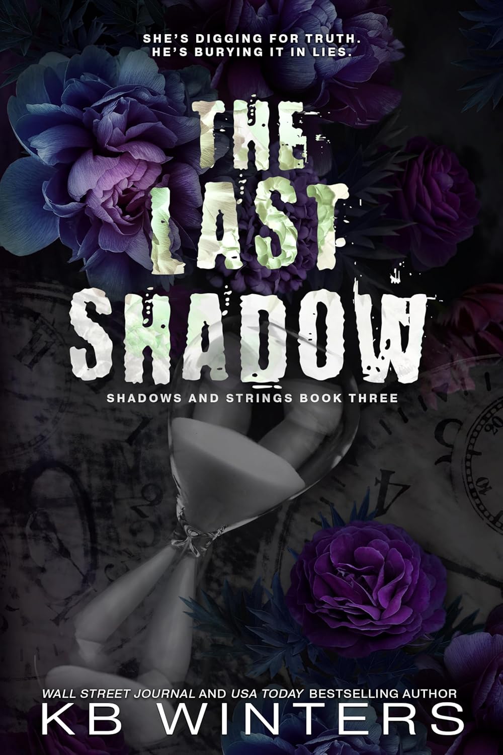 The Last Shadow book cover