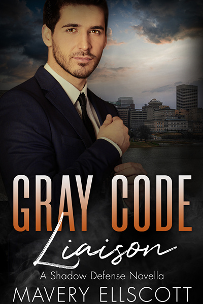 Grey Code Liaison: A Shadow Defense Novella