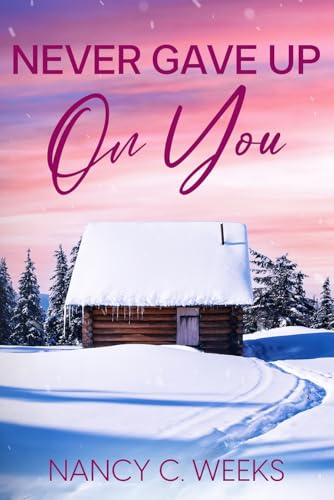 Never Gave Up on You Book 3: Romance Suspense Holiday Novella