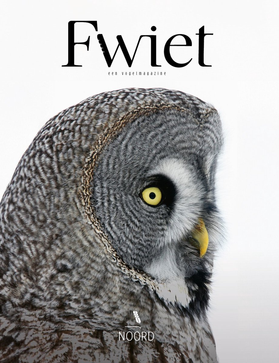 Fwiet #8: Noord
