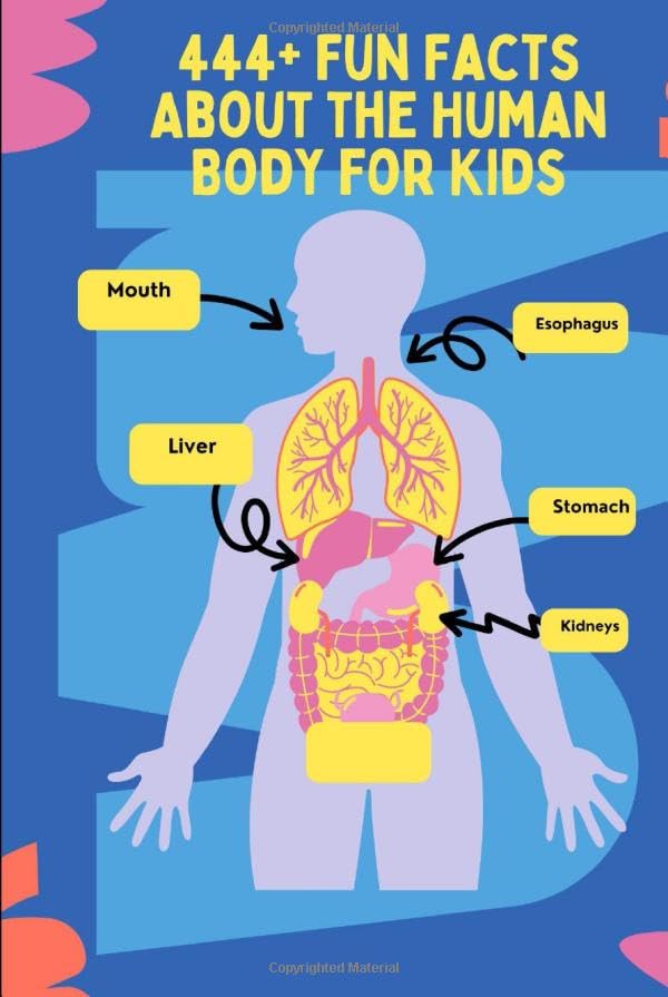 444+ Fun Facts About the Human Body for Kids: Learn Cool Trivia About ...