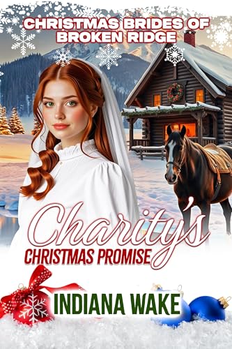 Charity's Christmas Promise