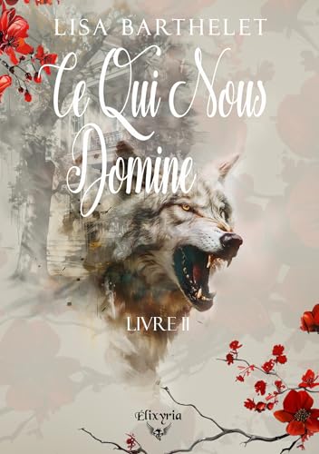 Ce qui nous domine - Livre II (Akopo t. 2)