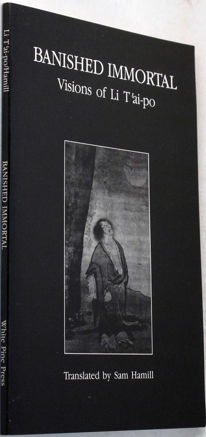 Banished Immortal book cover