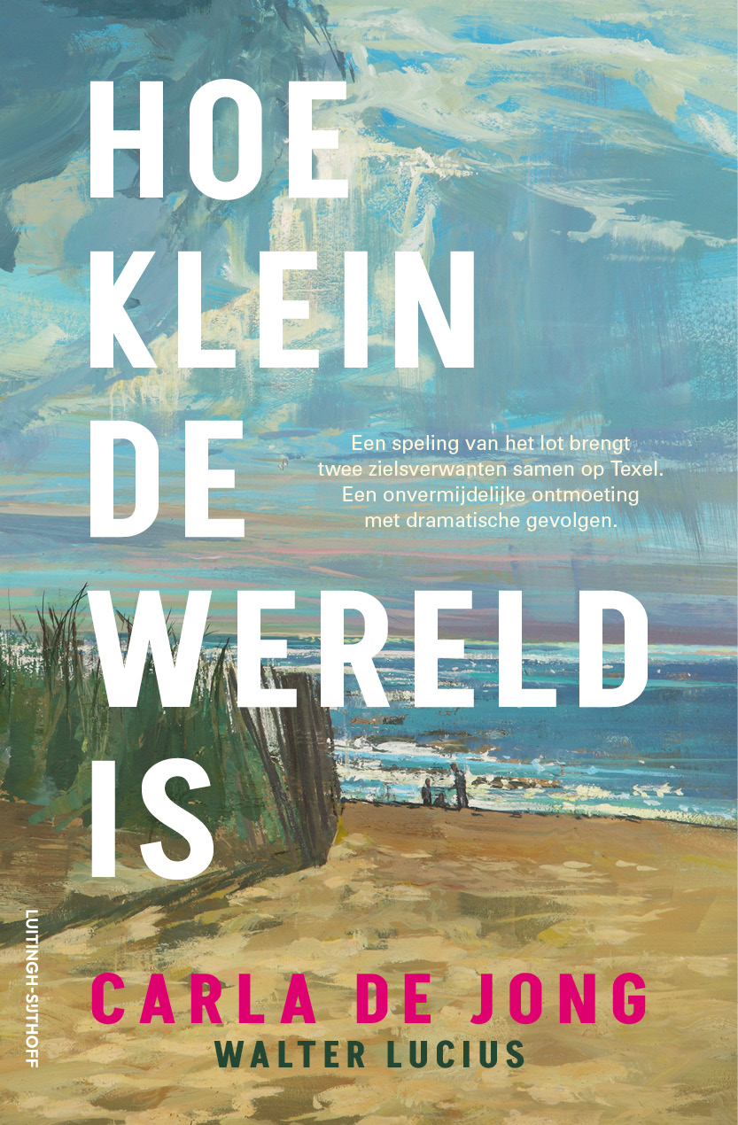 Hoe klein de wereld is book cover