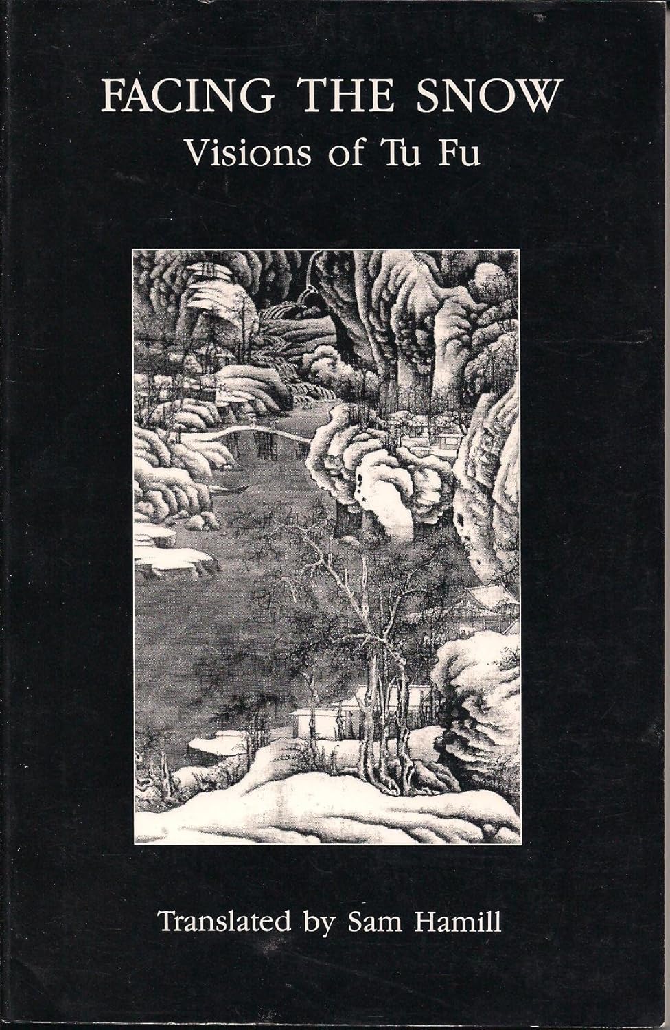 Facing the Snow book cover