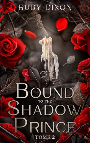 Bound to the shadow Prince - Tome 2 book cover