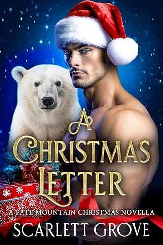 A Christmas Letter book cover