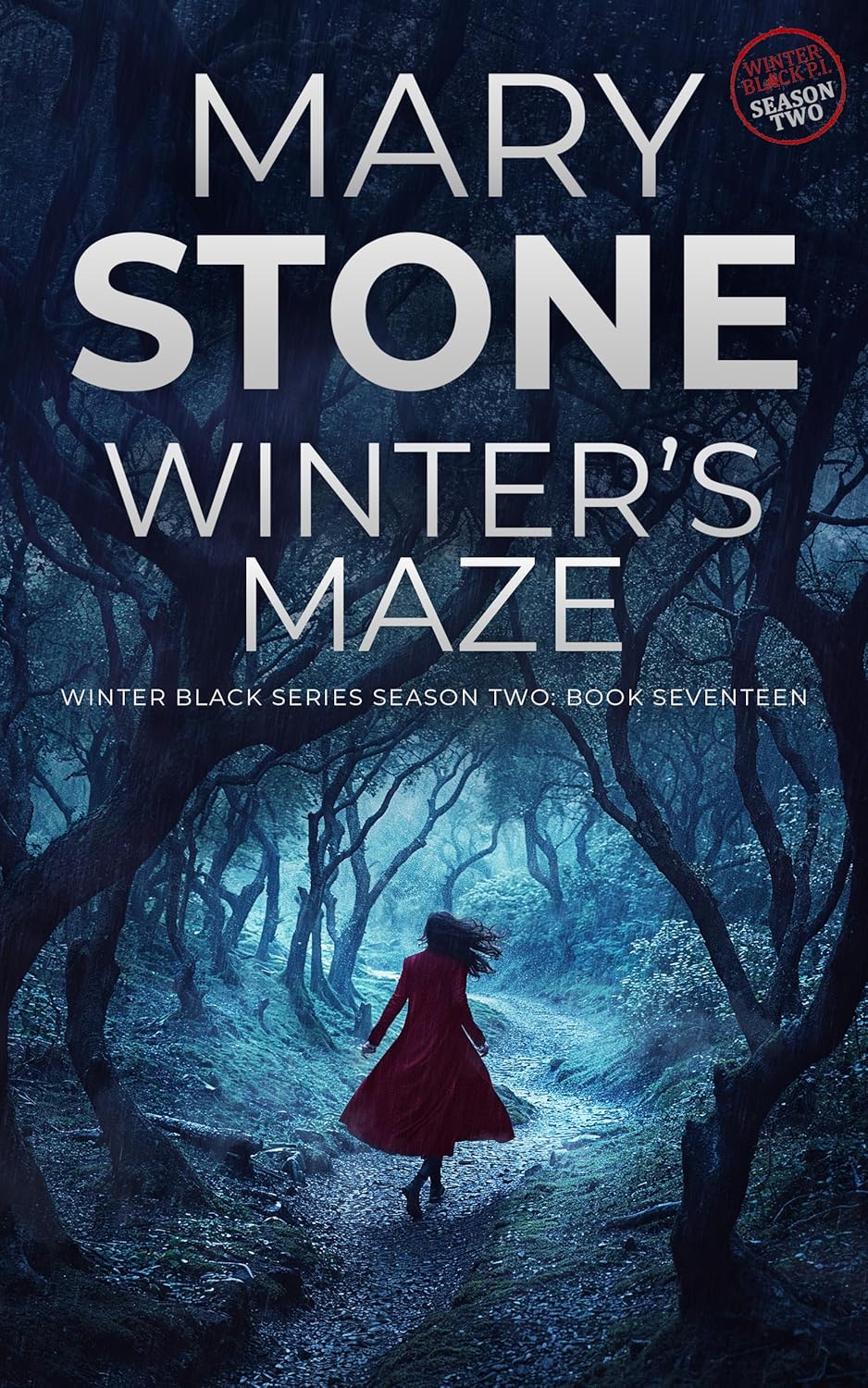 Winter's Maze book cover