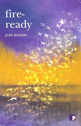 Fire Ready book cover