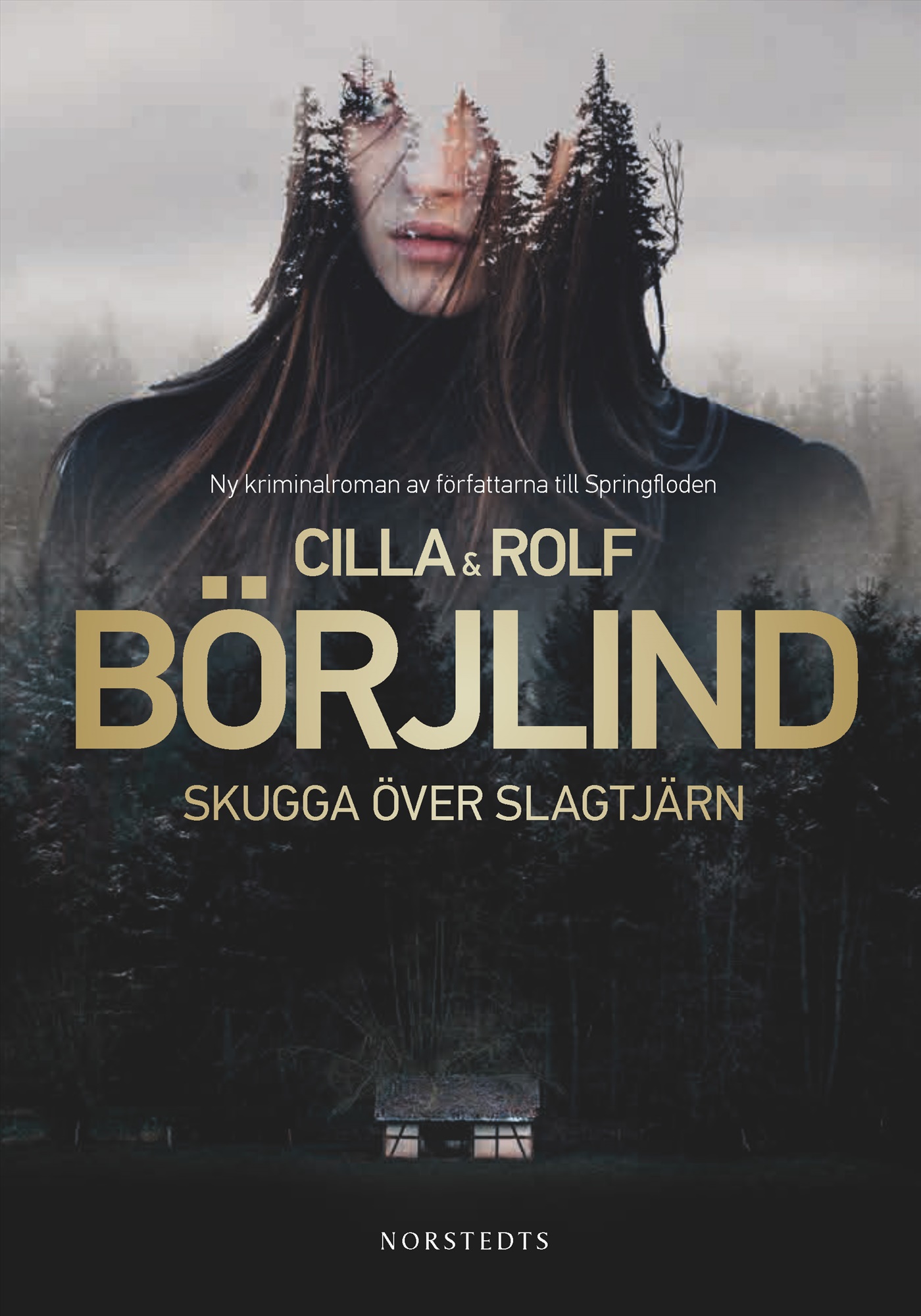 Skugga över Slagtjärn book cover