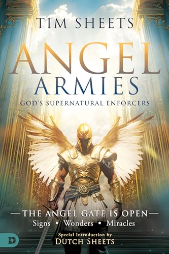 Angel Armies book cover