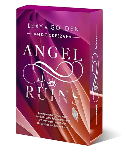 Angel of Ruins book cover