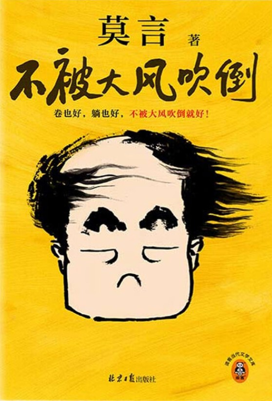 不被大风吹倒 book cover