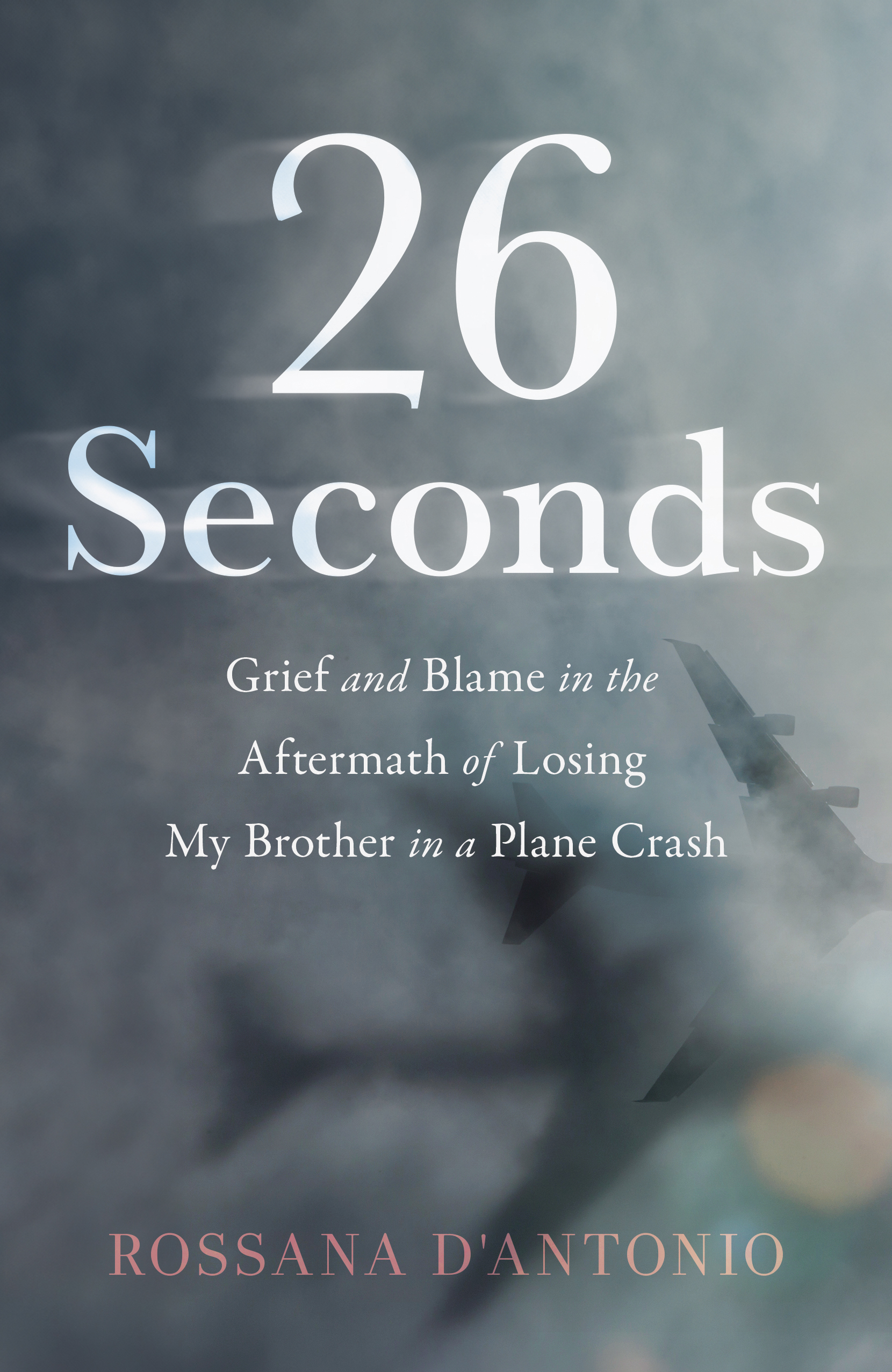 26 Seconds: Grief and Blame in the Aftermath of Losing My Brother in a Plane Crash