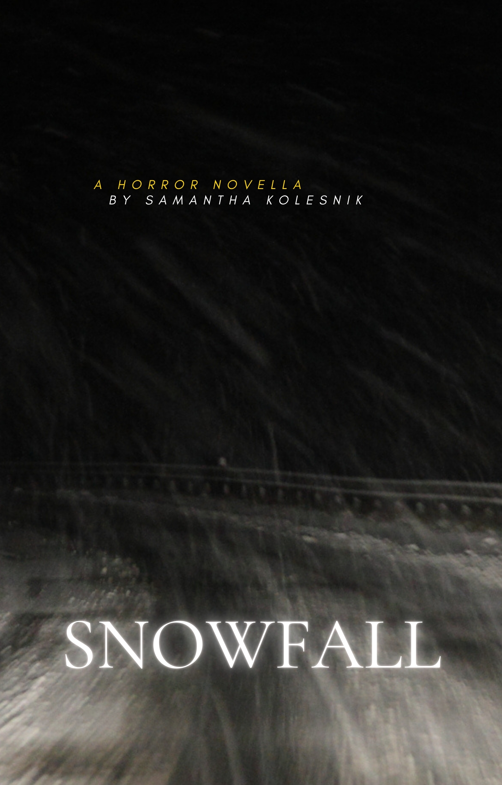 Snowfall book cover