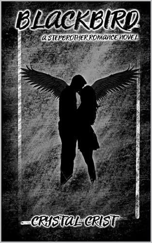 Blackbird: A stepbrother romance novel