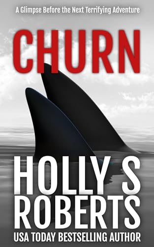 Churn book cover