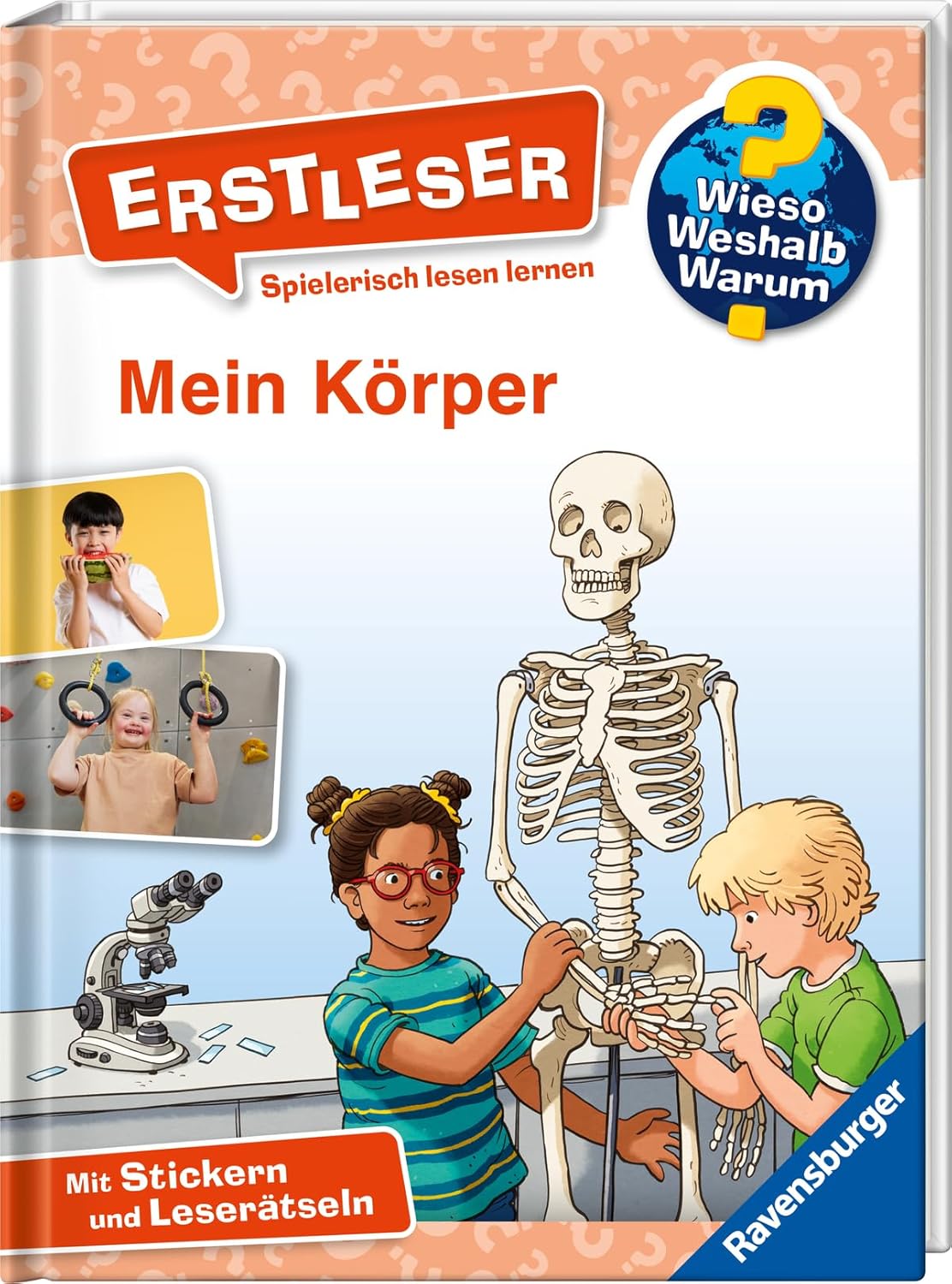 Mein Körper