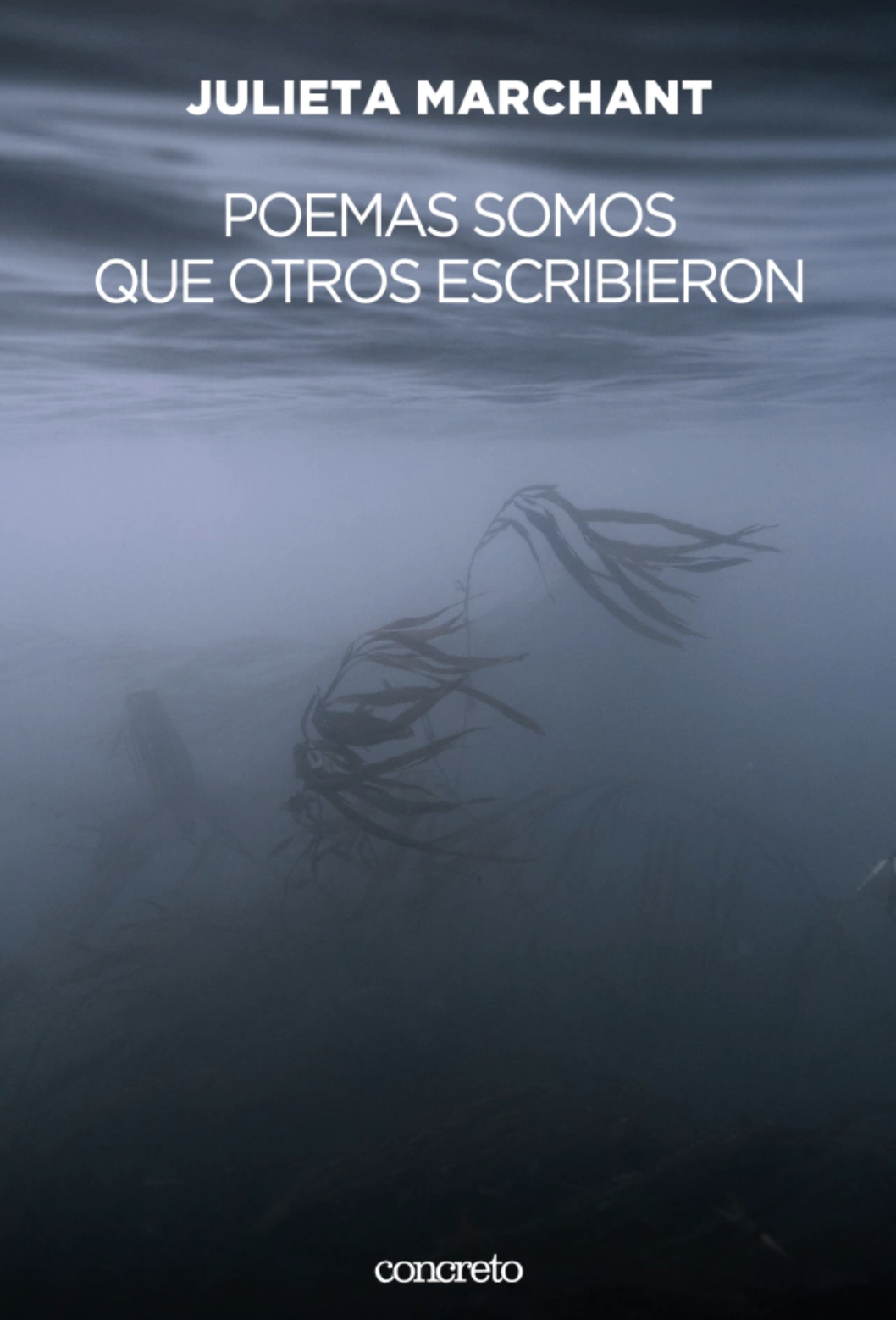 Poemas somos que otros escribieron