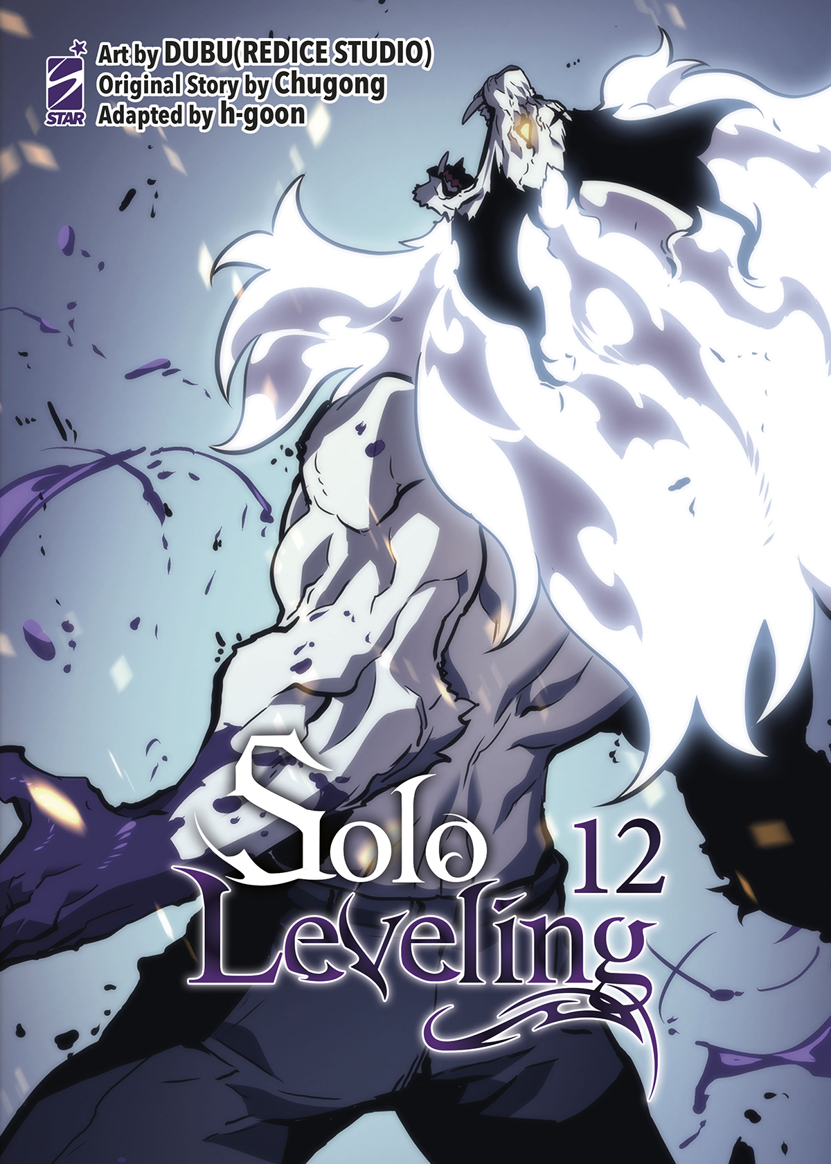 Solo Leveling, Vol. 12 book cover