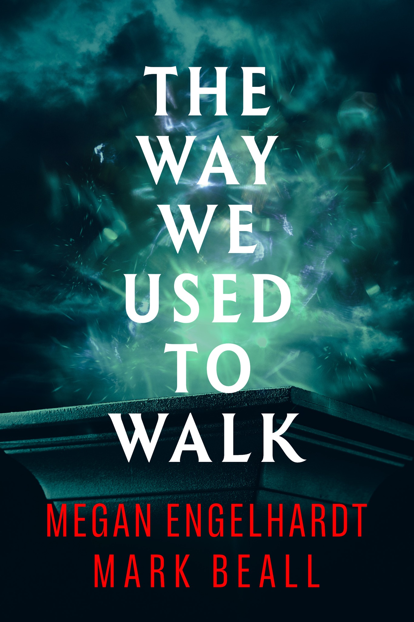 The Way We Used to Walk book cover