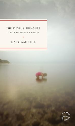 The Devil's Treasure book cover