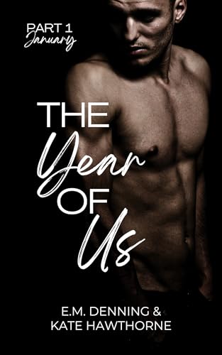 The Year of Us book cover 1