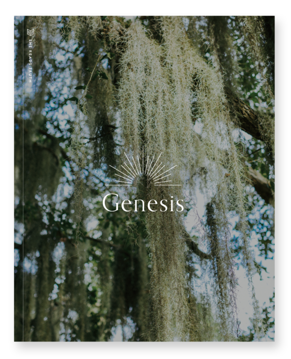 Genesis book cover