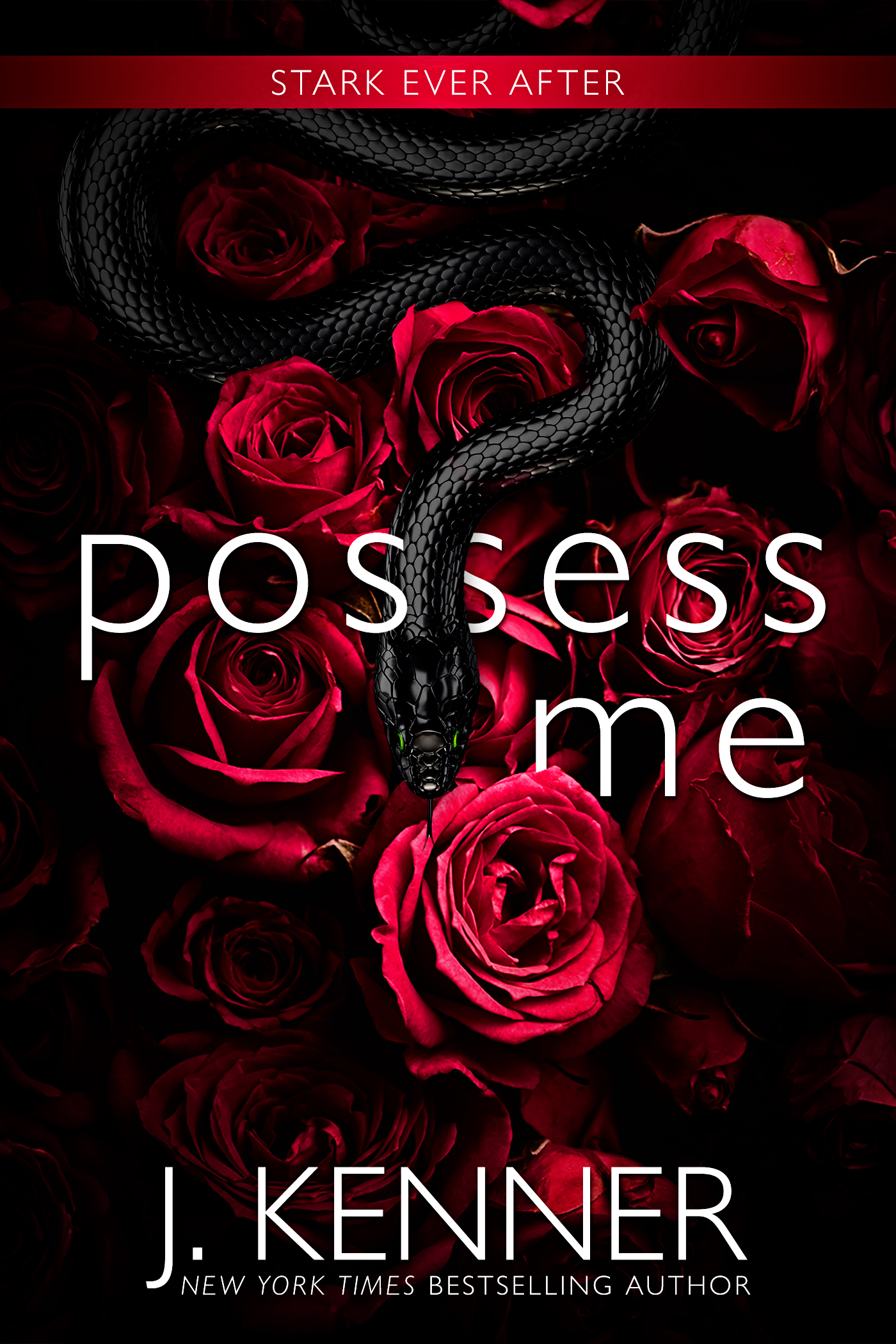 Possess Me book cover