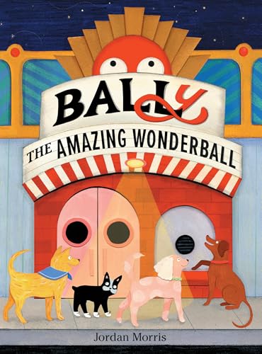 BALLy the Amazing Wonderball book cover