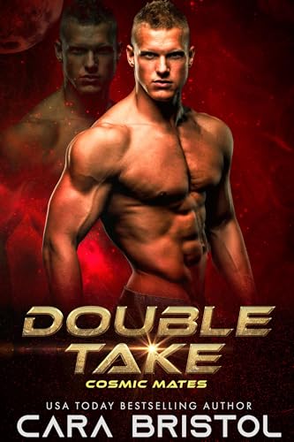 Double Take book cover