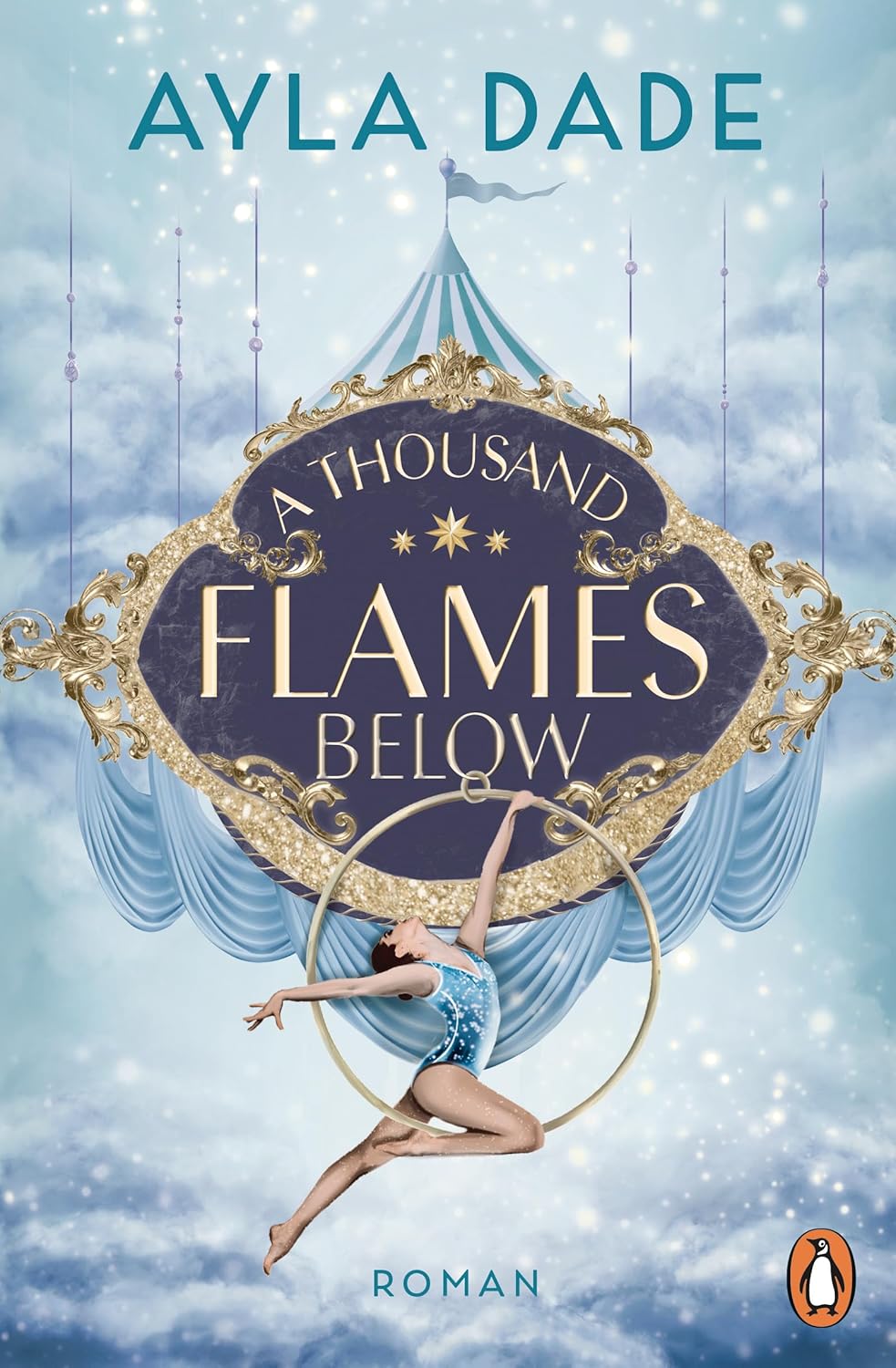 Sky Circus book cover 2